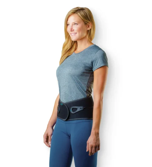 Aspen Lumbar Support - Image 2